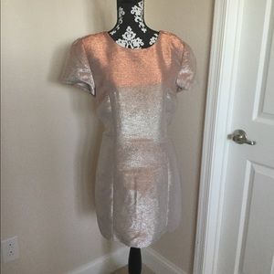Express Metallic Rose Gold Dress